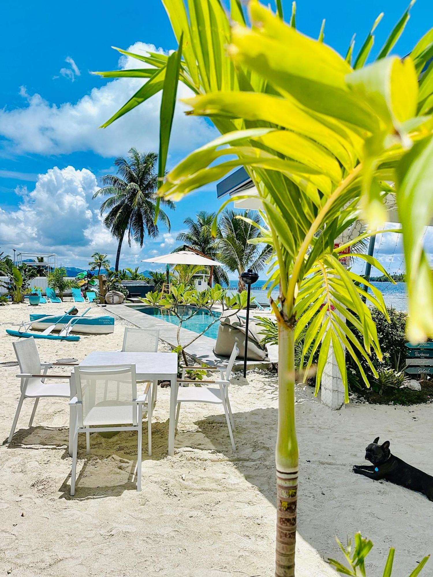 Pension Irivai, Appartement Rava 1 Chambre Bord De Mer Uturoa Eksteriør bilde